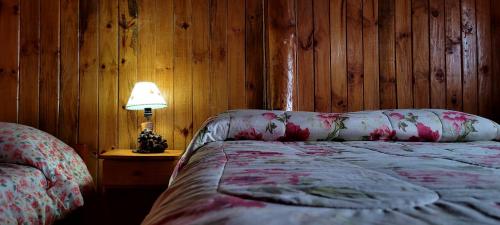 a bedroom with a bed and a lamp on a table at Cabañas Clarita in Dina Huapi