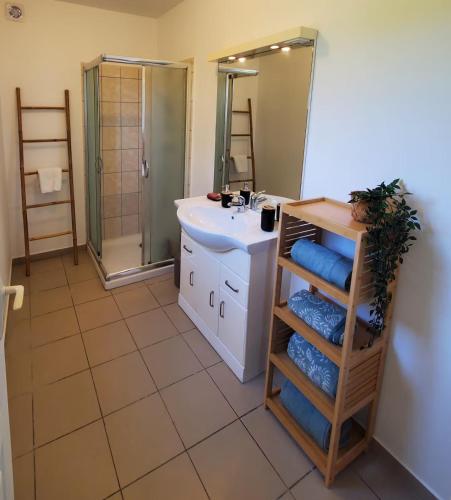 une salle de bain avec un lavabo et un miroir dans l'établissement L'Évasion Maison typique de mineur, à Flamanville