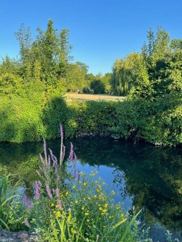 a river with a bunch of flowers and trees at Côté Rivière in Ézy-sur-Eure