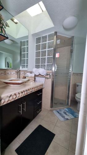 a bathroom with a shower and a sink at Departamento céntrico, amplio y nuevo cerca del Aeropuerto y GNP-Foro sol in Mexico City
