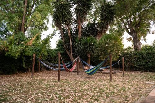 a couple of hammocks in a park with trees at Escuelita Viva in Ostia Antica
