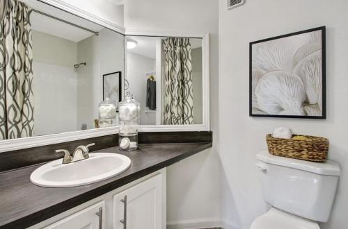 Ένα μπάνιο στο Landing Apartments - Jacksonville