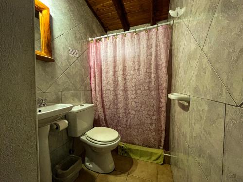 a bathroom with a toilet and a sink and a shower at Cabañas Clarita in Dina Huapi