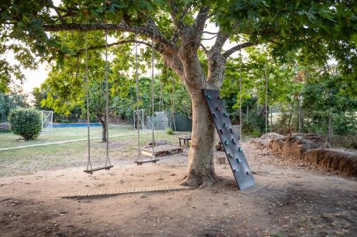 a swing set in a tree in a park at Escuelita Viva in Ostia Antica