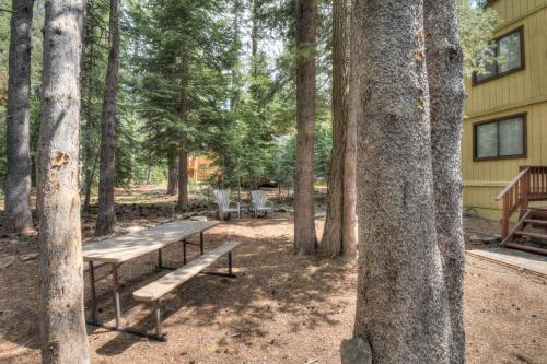 a picnic table and benches in the woods at Glacier Forest Getaway HOA Access in Truckee