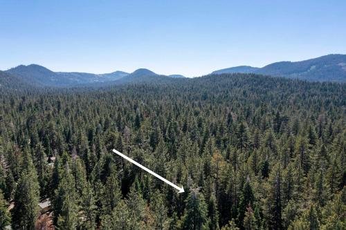 an aerial view of a forest of trees at Alpine Gem Near Homewood Mountain in Tahoma