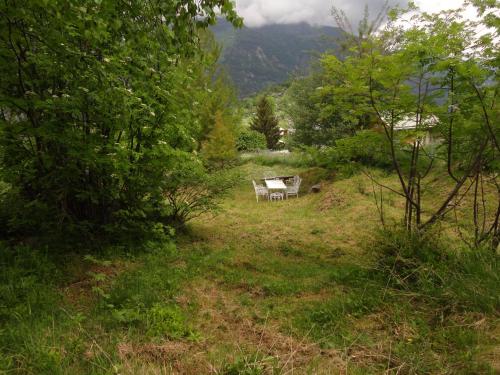 a bench in the middle of a field with trees at Chalet Sven & Marc Grächen, Niedergrächen Vallis in Sankt Niklaus