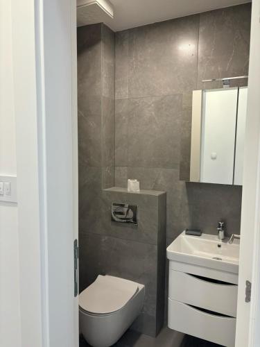 a bathroom with a toilet and a sink at Apartman Andrea in Trebinje