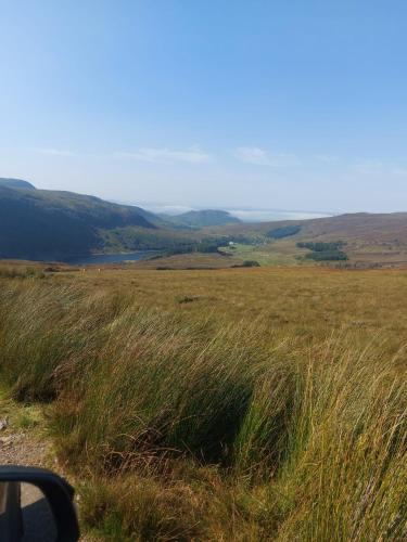 a field of tall grass next to a road at Tom Liath Annexe in Kingussie