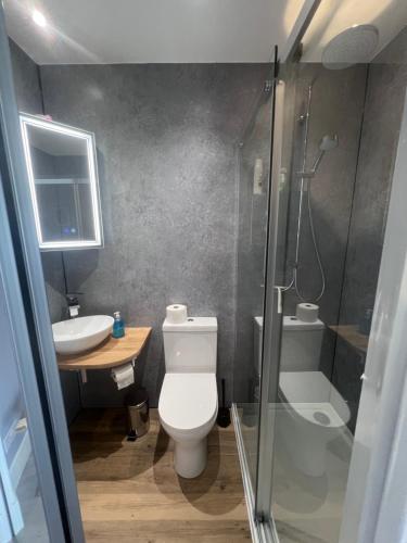 ein Badezimmer mit Toilette, Waschbecken und Dusche in der Unterkunft Black Isle View in Dingwall