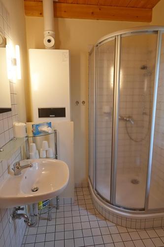 a bathroom with a shower and a sink at La Porte in Bertingen