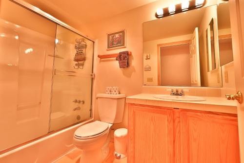 a bathroom with a toilet and a shower and a sink at Tahoe Family Getaway in Stateline