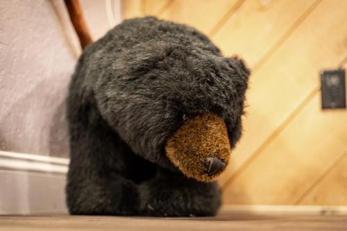 a stuffed bear is sitting on the floor at Ski In Ski Out 3 BDR Steps from Stagecoach Lift in Stateline