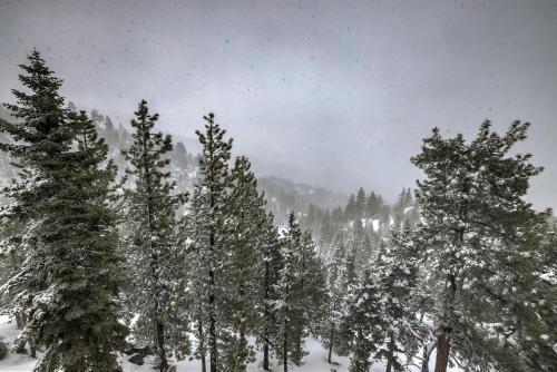 Valley View - Carson Valley Views v zimě