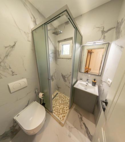 a bathroom with a shower and a toilet and a sink at Sofra Kelmendit in Tamarë