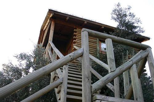 a wooden stairs leading to a cabin with trees at El Mirador de la Mancha in Villarrubia de los Ojos