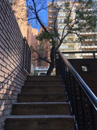 a set of stairs with a tree on top at Hostel Nueva cordoba Subte Uno in Cordoba