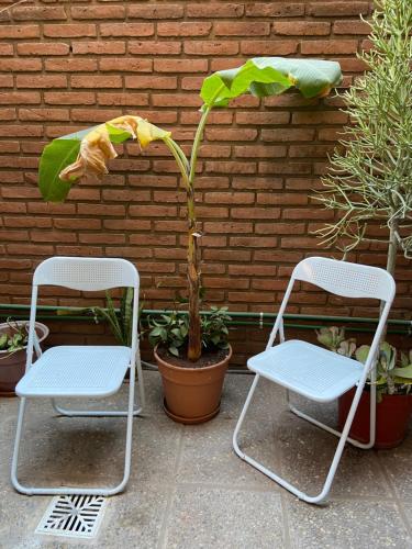 two white chairs and a plant and a brick wall at Hostel Nueva cordoba Subte Uno in Cordoba