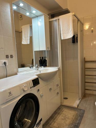 a washing machine in a bathroom with a sink and a mirror at Larocca Tourist Home 5 Bassano in Bassano del Grappa
