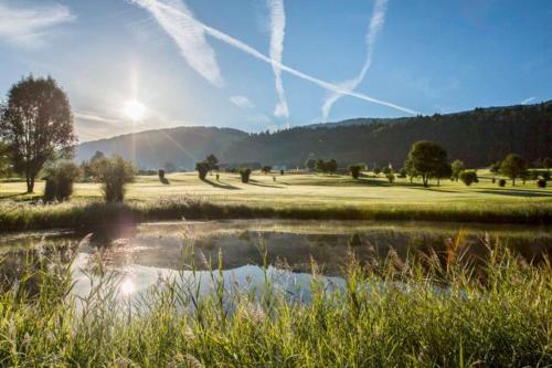 a view of a field with a pond in the foreground at Gasthof goldener Adler Riefensberg in Riefensberg
