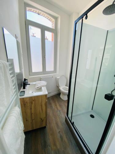 a bathroom with a shower and a sink and a toilet at Le Saphir Zénith 1 in Amiens