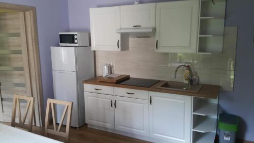 een keuken met witte kasten en een witte koelkast bij Stacja Roman in Karpacz
