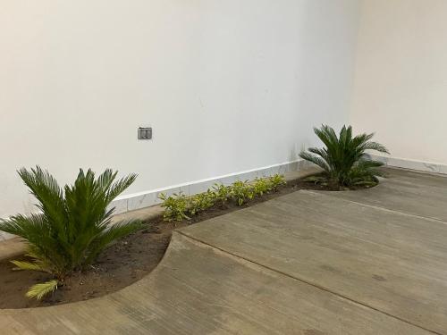 Fotografie z fotogalerie ubytování Residencia de Lujo en Durango v destinaci Durango