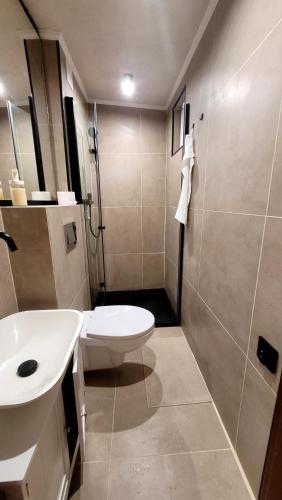 a bathroom with a toilet and a sink and a shower at Leśne Apartmani Biała in Biała