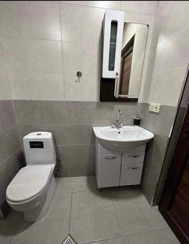 a bathroom with a toilet and a sink at bakuriani in Itʼkhvisi