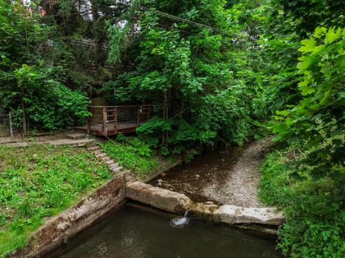 a stream of water with a bridge and trees at Willa pod Jemiołą in Wisła