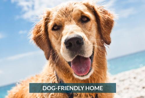 a dog friendly home dog friendly home at 2029 - Duck Yeah in Duck