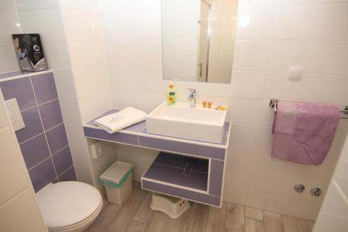 a bathroom with a sink and a toilet and a mirror at Apartment Villa Franci in Pag