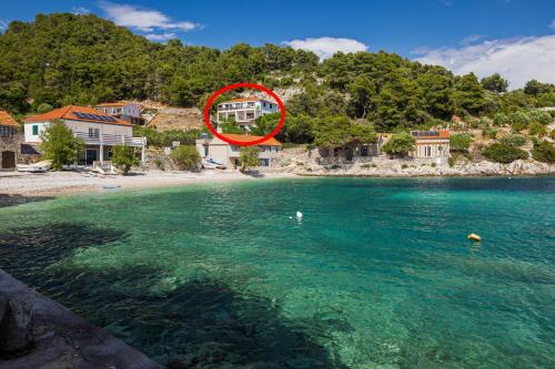 Seaside secluded apartments Cove Torac, Hvar - 8653