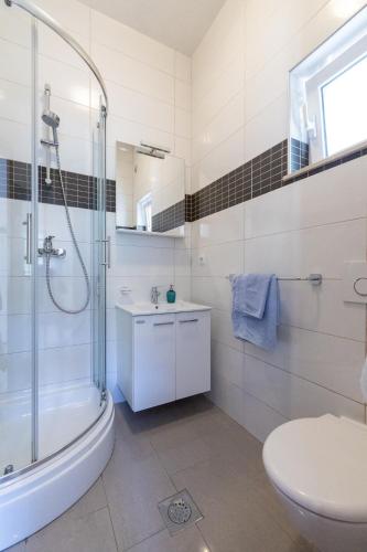 a bathroom with a shower and a toilet and a sink at Seaside secluded apartments Cove Torac, Hvar - 8653 in Gdinj