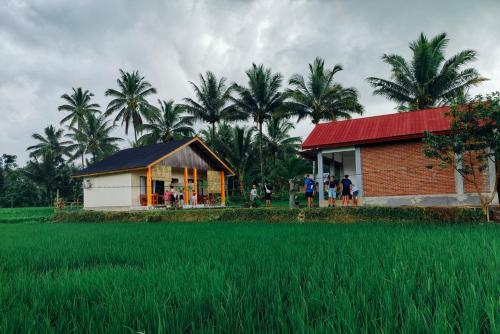 a small building next to a rice field and palm trees at Vaniglia House Tetebatu in Tetebatu