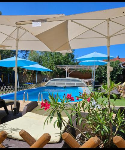 Kids' Paradise House