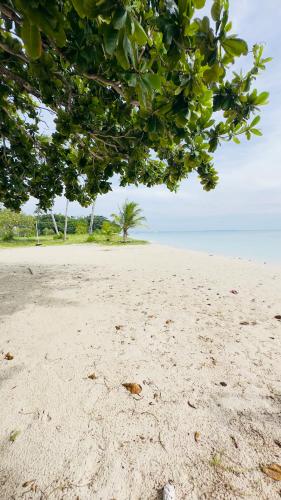 Landskap semula jadi dekat dengan vila ini
