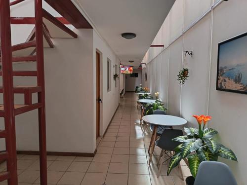 un pasillo de un restaurante con mesas y sillas en Lodge Atacama Hostal, en Copiapó