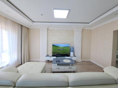 43 New Spacious Penthouse