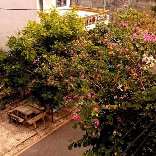 a bunch of flowers on a bush with a bench at Long Homestay Xuyên Á - Hotels in Ðức Hòa