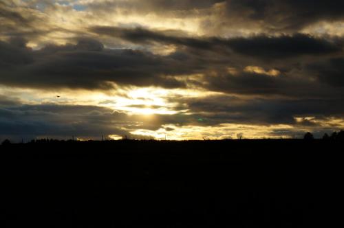 a sunset in a field under a cloudy sky at Przystanek Rospuda in Sucha Wieś