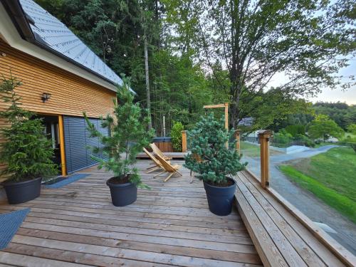 a deck with three potted plants on it at Savinjski raj in Mozirje