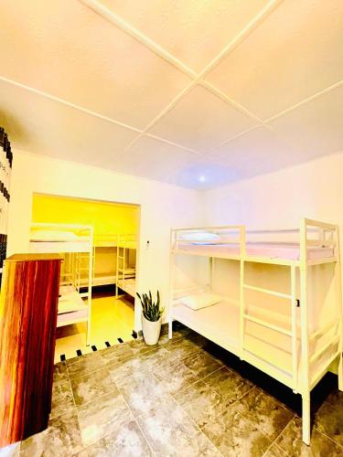 a room with several bunk beds in it at Lovely lodge & Hostel in Sigiriya