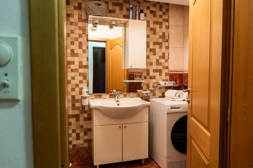 a bathroom with a sink and a mirror at Gradina Stan na Dan in Doboj