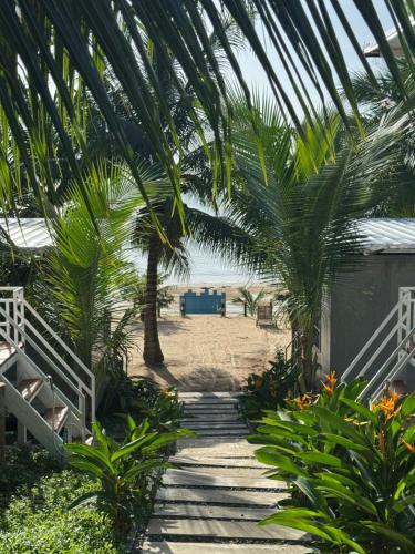 Κήπος έξω από το Naroth Beach Bungalow