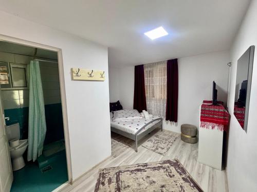 a small room with a bed and a bathroom at Casa Adela in Neagra