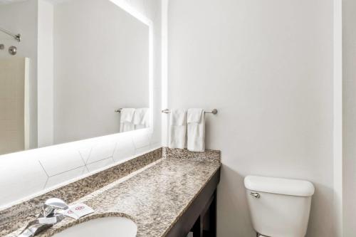 a bathroom with a sink and a mirror at Comfort Suites Clackamas in Clackamas