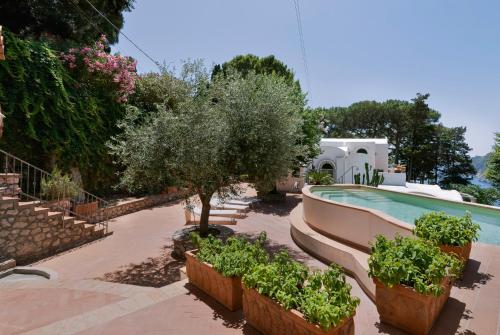 a house with a swimming pool and some plants at La Perla Marina Suite in Capri