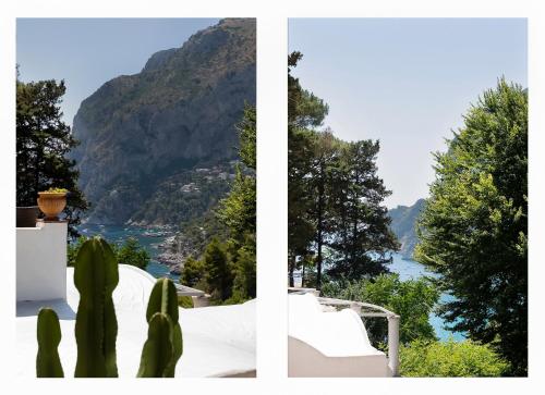 two pictures of a view of a mountain and a cactus at La Perla Marina Suite in Capri