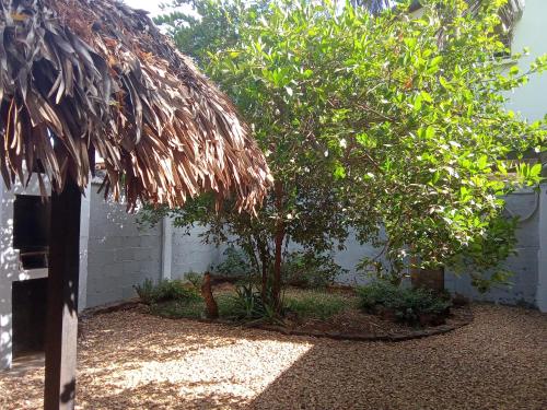 a tree and a bench in front of a building at Hotel Le Petit Paradis in Diego Suarez